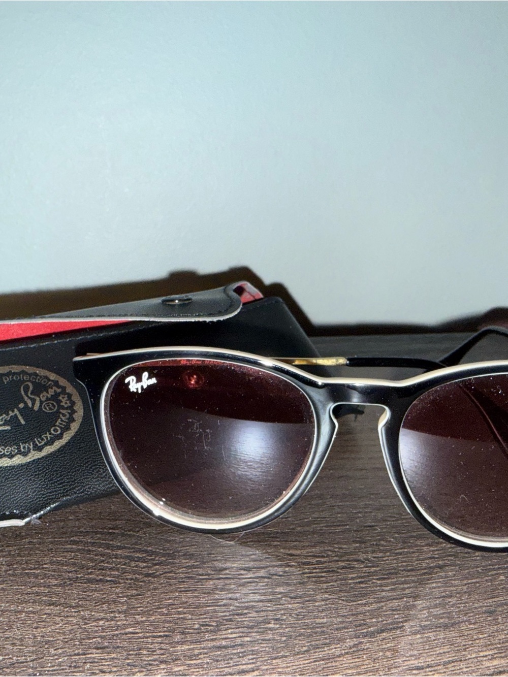 Ray-Ban Erika Sunglasses